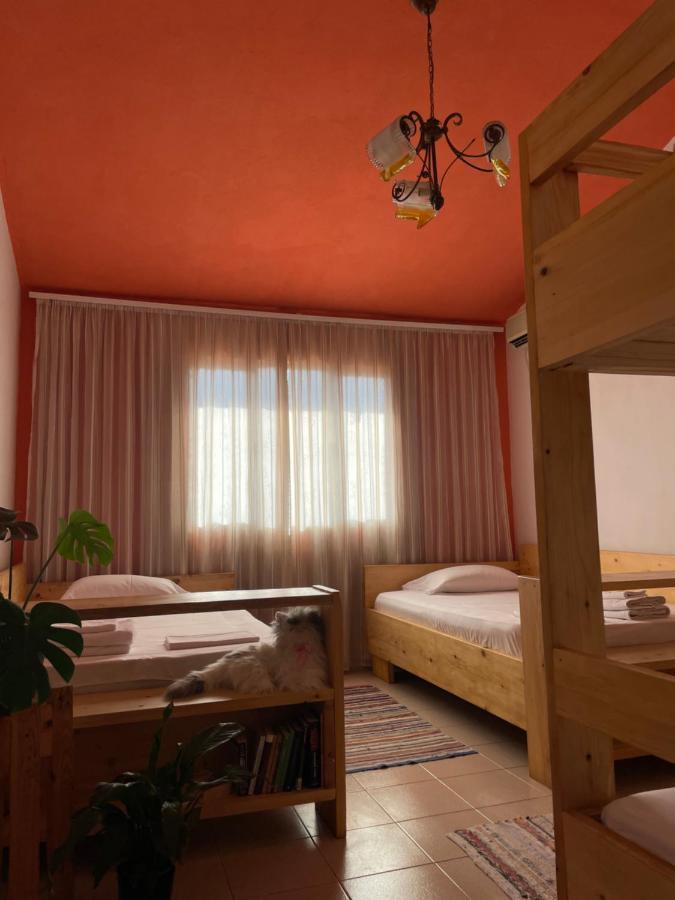 Cozy Big Apartment With Balcony Tirana Eksteriør billede