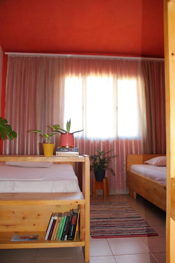 Cozy Big Apartment With Balcony Tirana Eksteriør billede